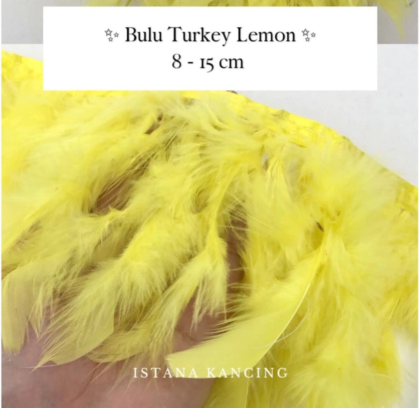Turkey Feathers 8-11cm