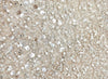 What Are Sequins and the Different Types You Can Try