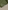 Interlining