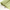 SPTI Lining Green Series