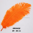 Bulu Ostrich Batangan 30-35cm