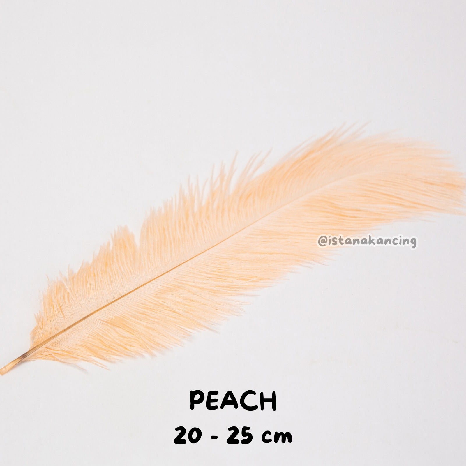 Bulu Ostrich Batangan 20-25cm