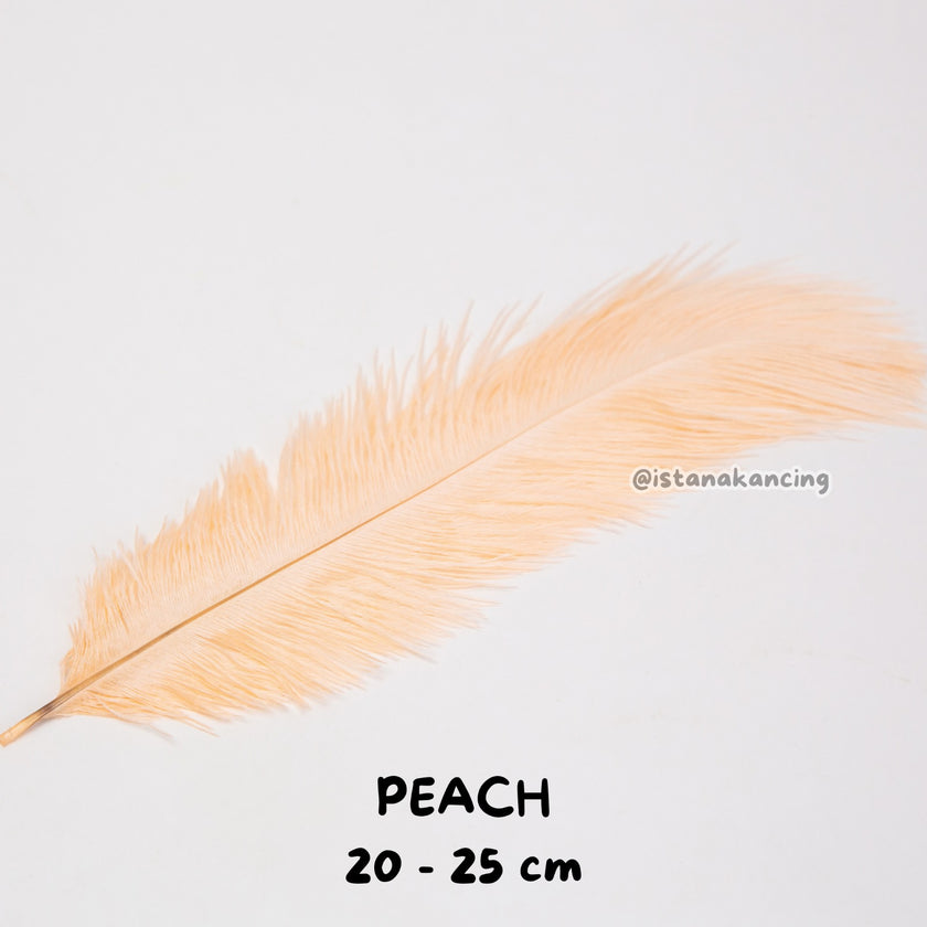 Bulu Ostrich Batangan 20-25cm