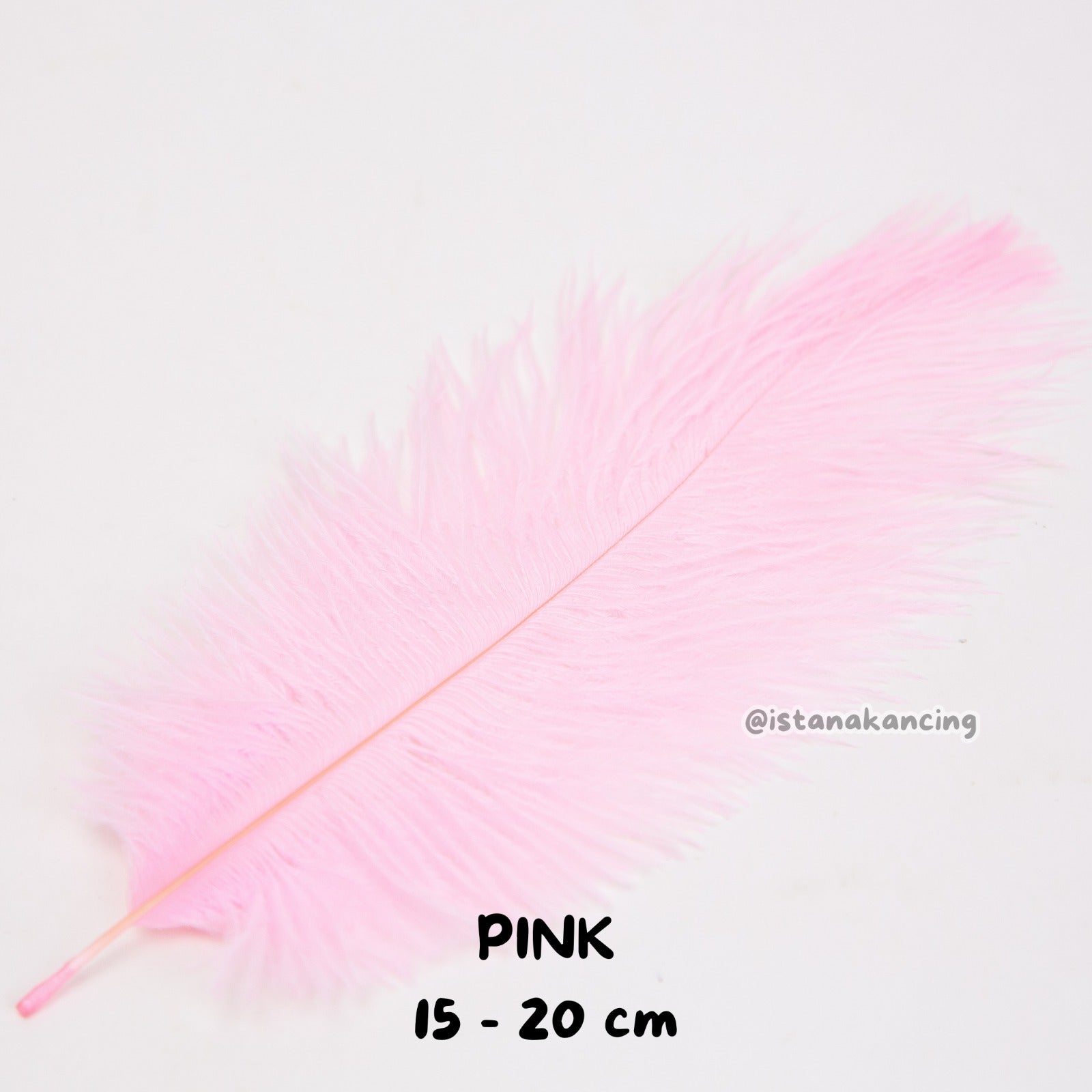 Bulu Ostrich Batangan 15-20cm