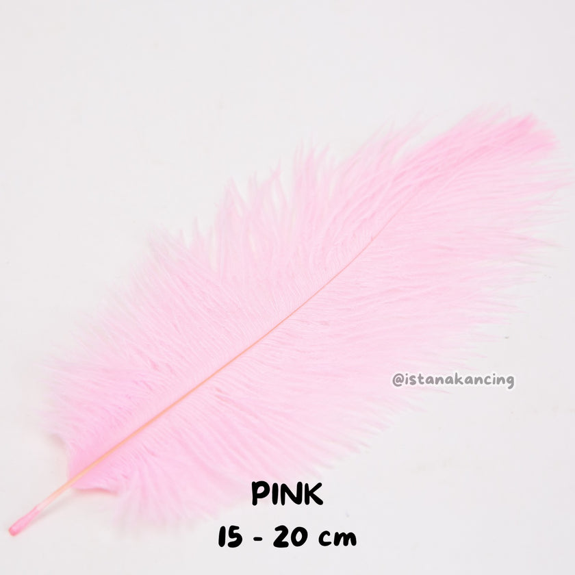 Bulu Ostrich Batangan 15-20cm