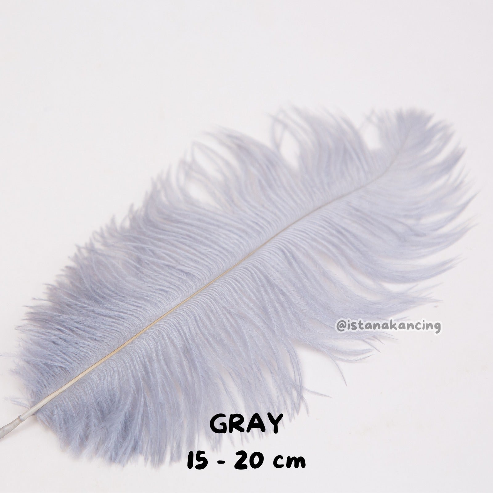 Bulu Ostrich Batangan 15-20cm