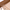 Kain Soft Tulle Lebar 150cm Brown Series