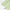 SPTI Lining Green Series