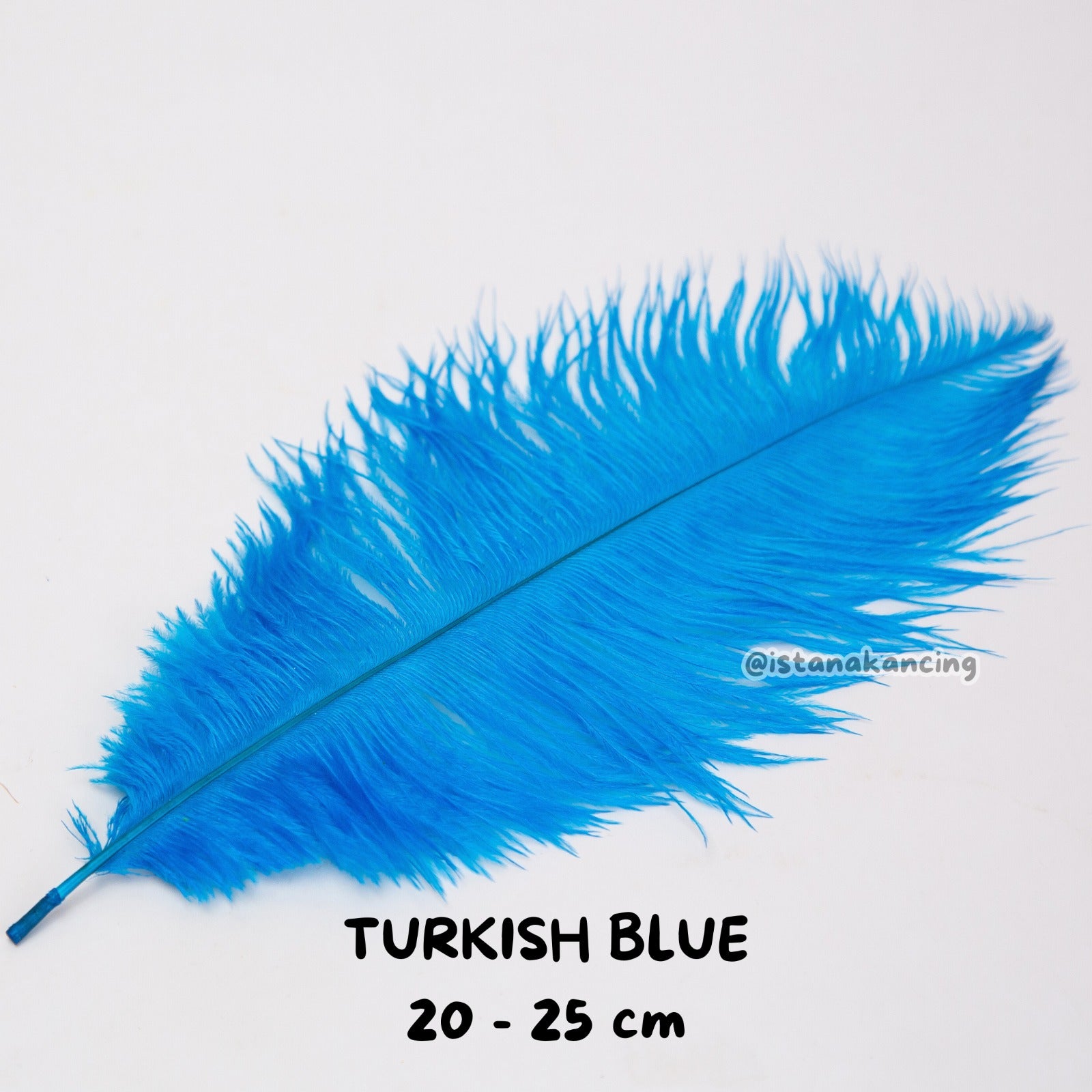 Bulu Ostrich Batangan 20-25cm