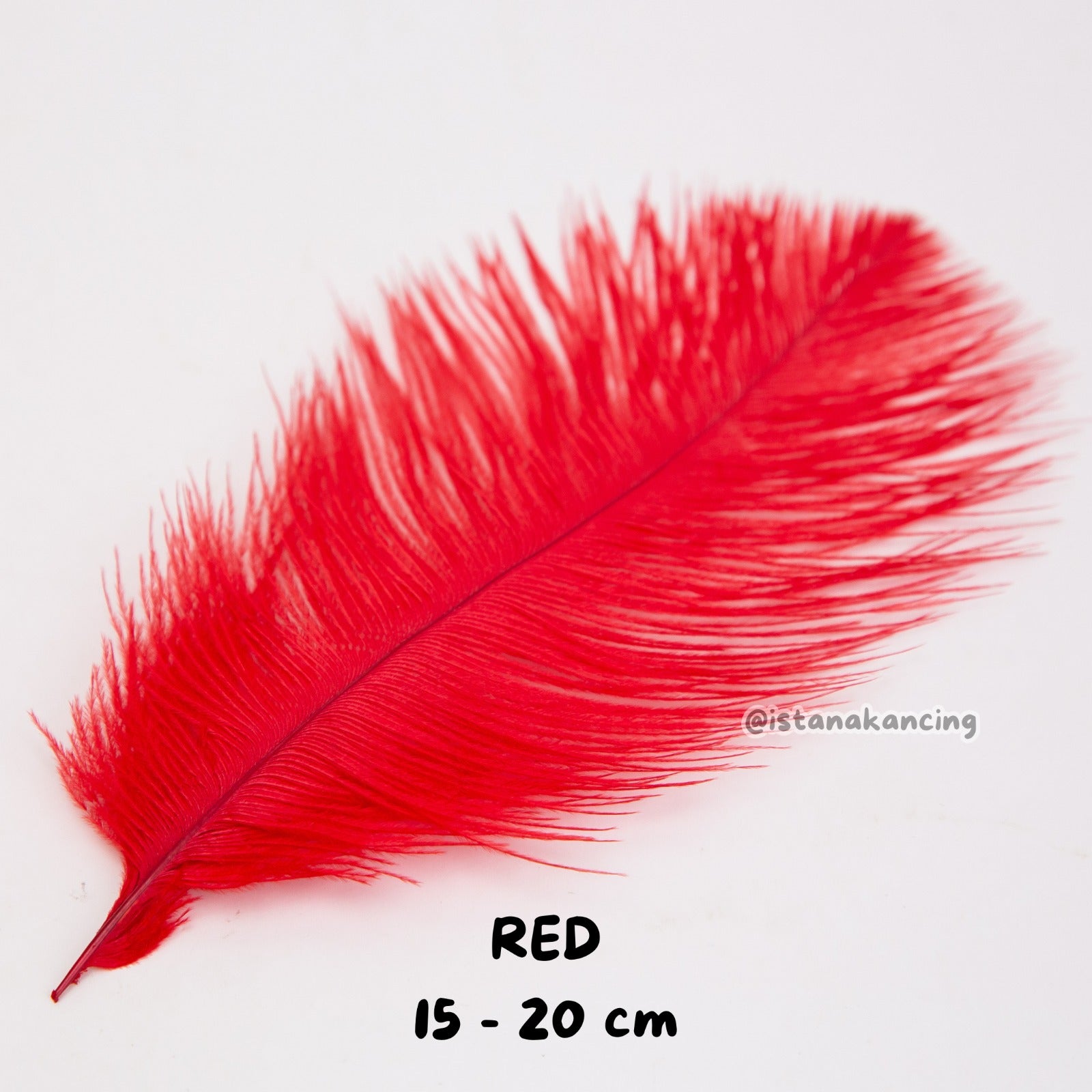 Bulu Ostrich Batangan 15-20cm