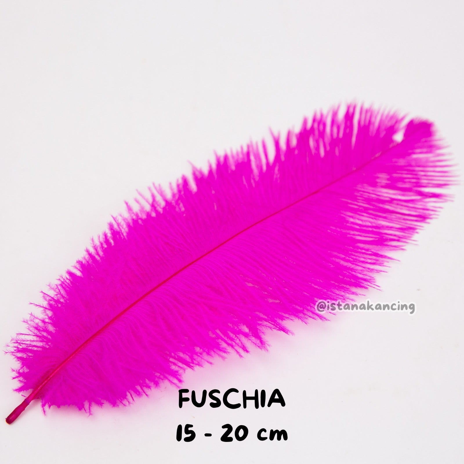 Bulu Ostrich Batangan 15-20cm