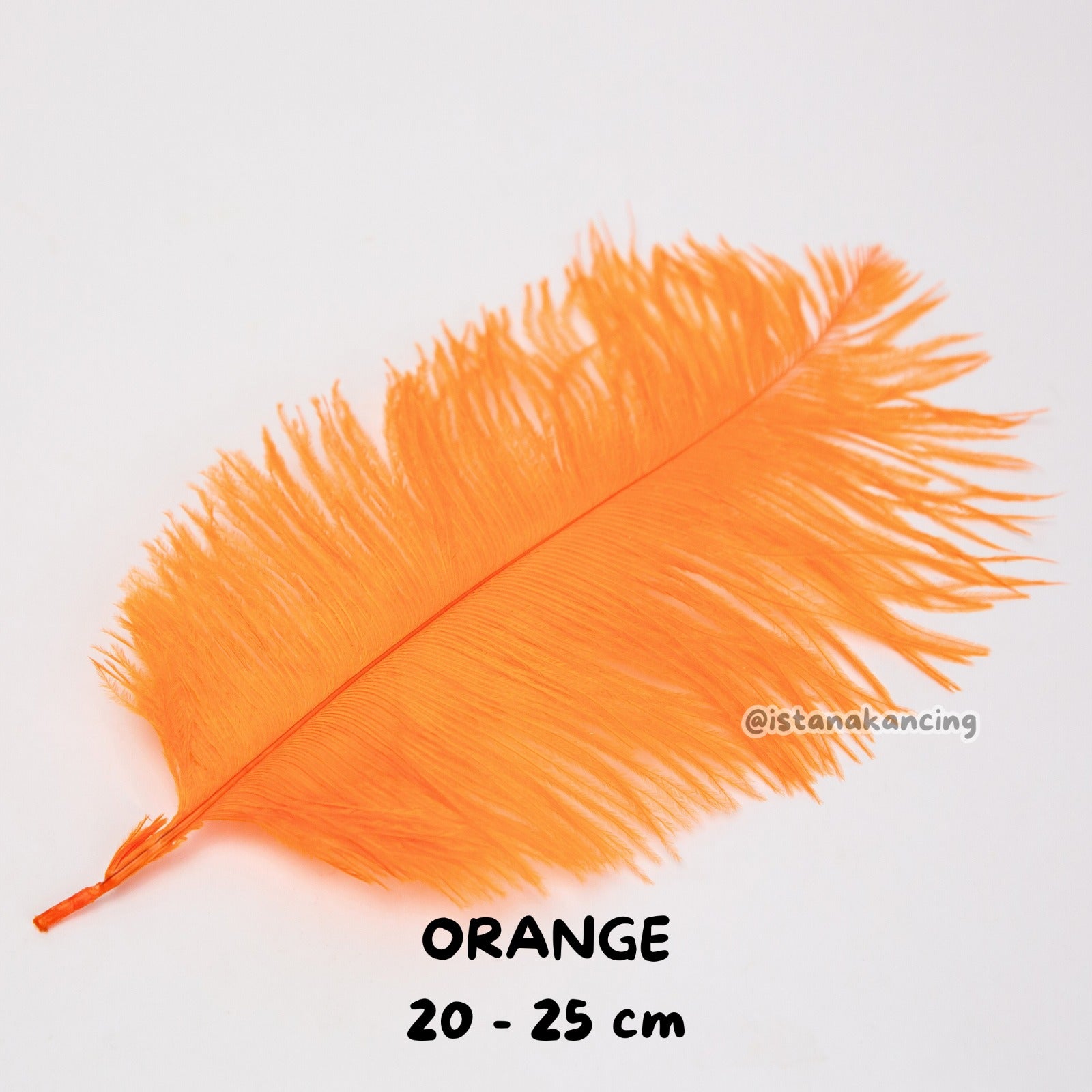 Bulu Ostrich Batangan 20-25cm