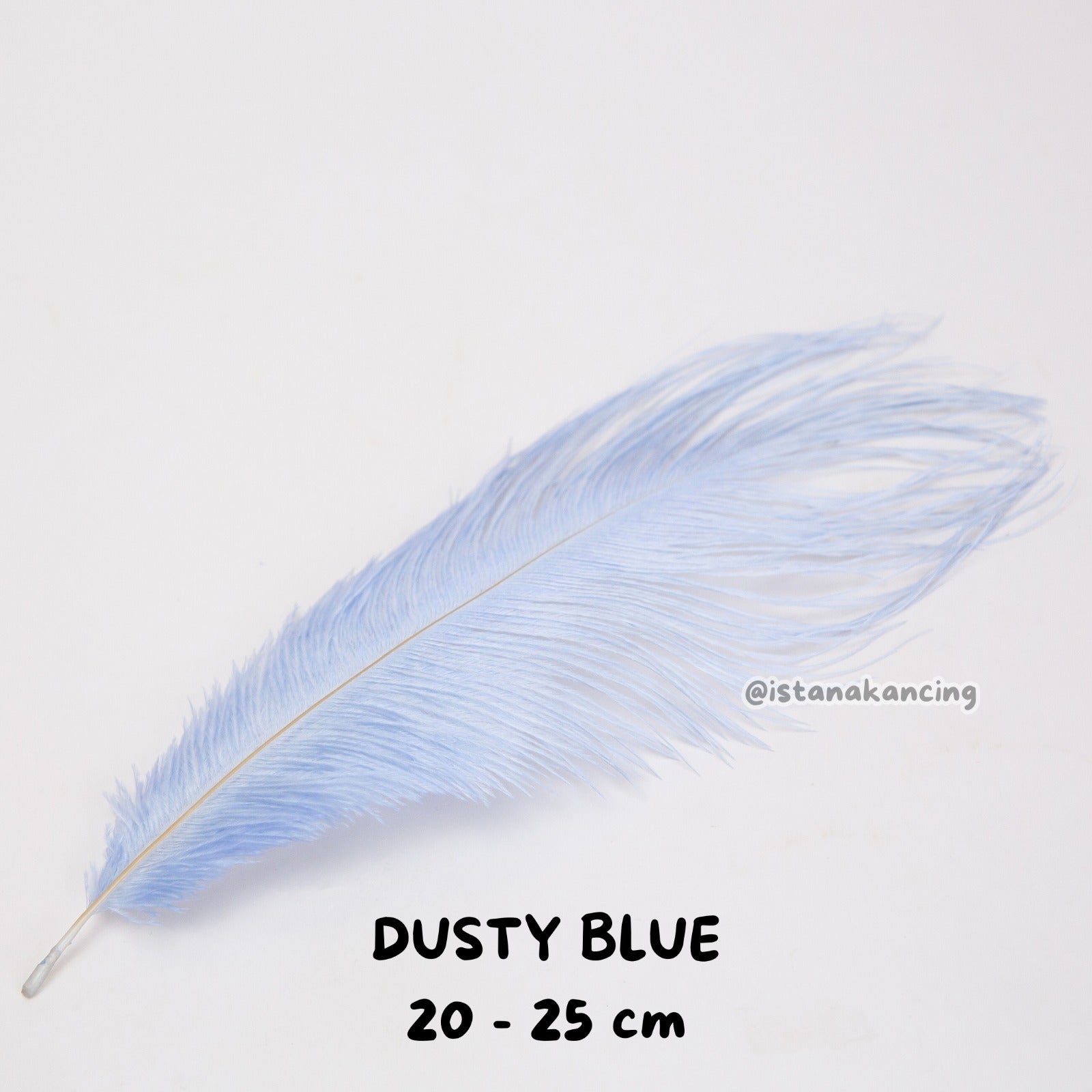 Bulu Ostrich Batangan 20-25cm