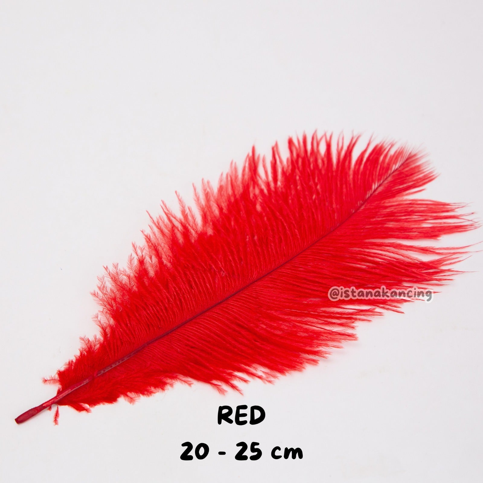 Bulu Ostrich Batangan 20-25cm
