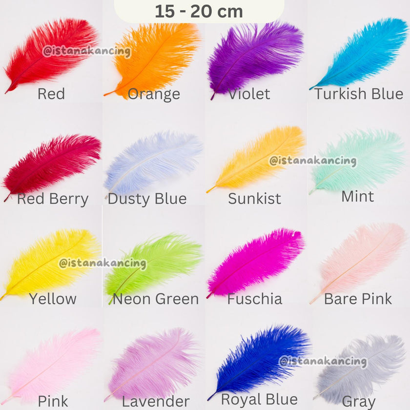 Bulu Ostrich Batangan 15-20cm