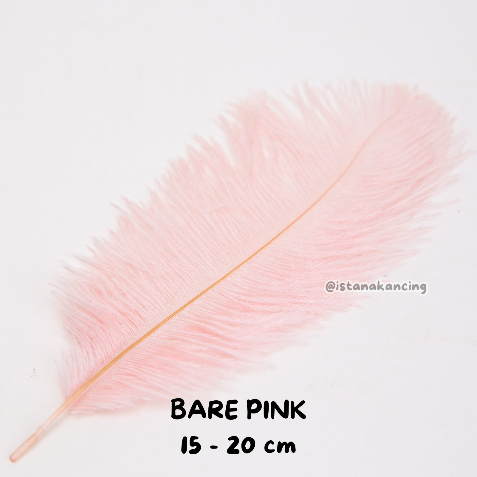 Bulu Ostrich Batangan 15-20cm