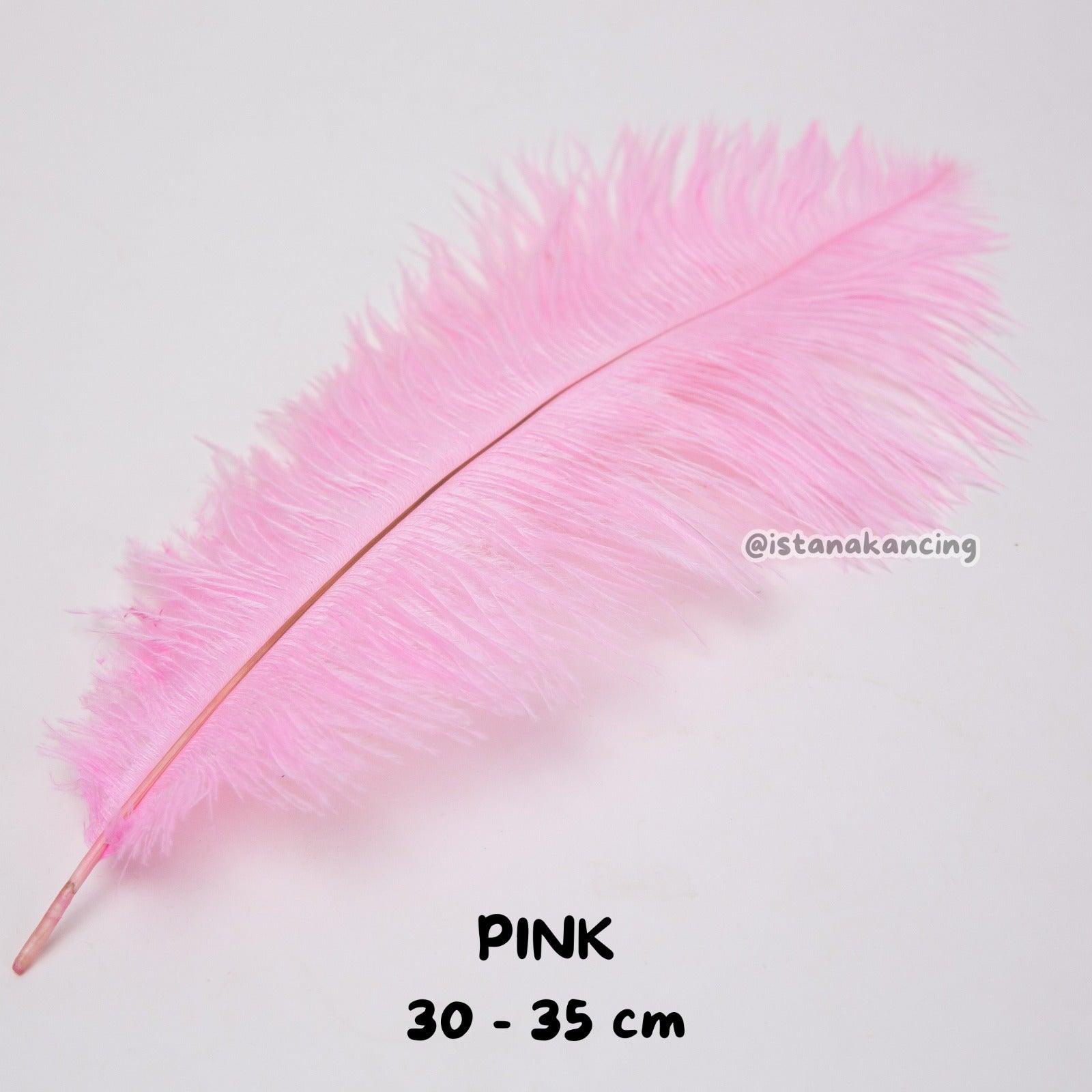 Bulu Ostrich Batangan 30-35cm