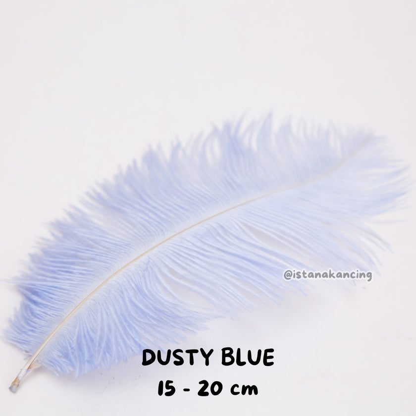 Bulu Ostrich Batangan 15-20cm