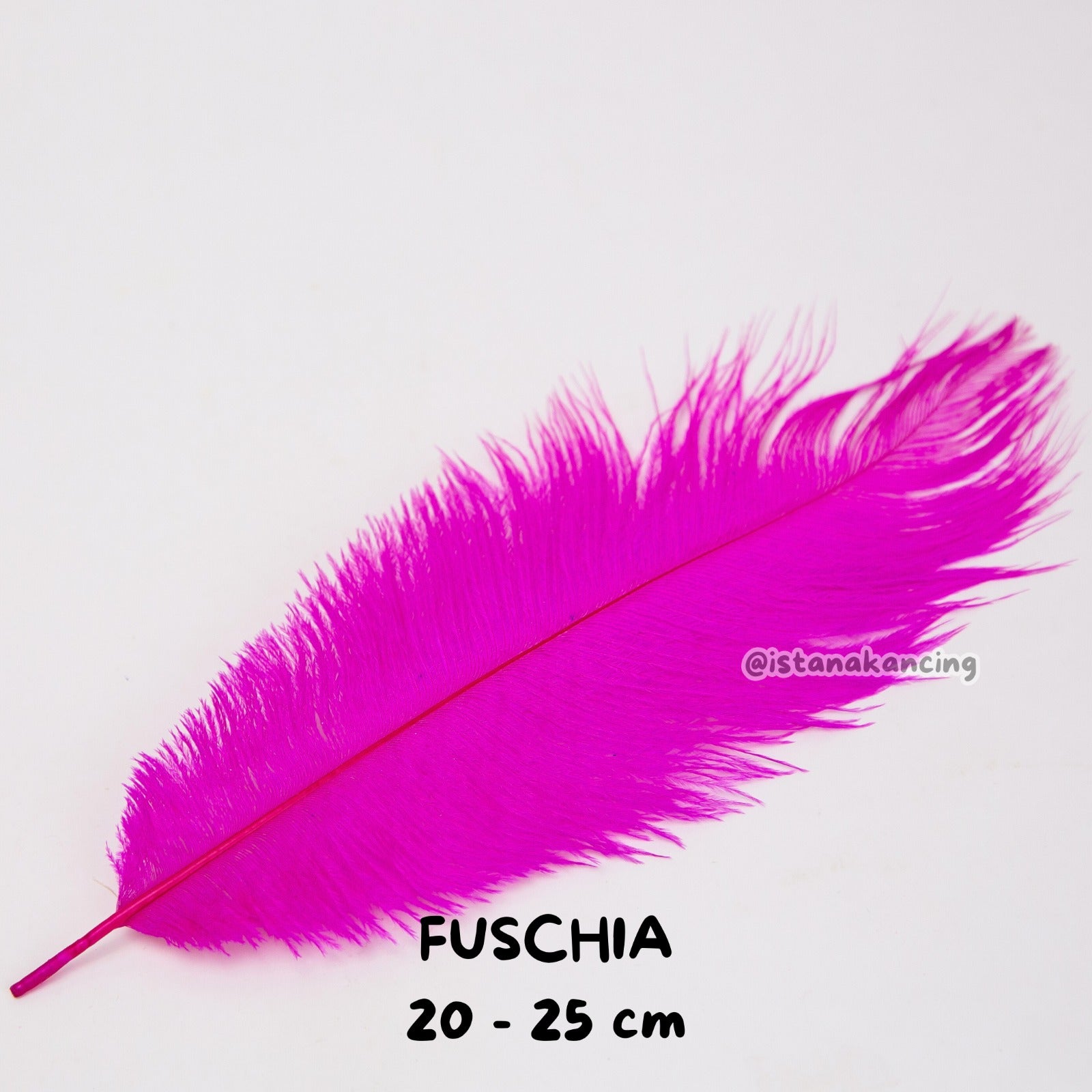 Bulu Ostrich Batangan 20-25cm