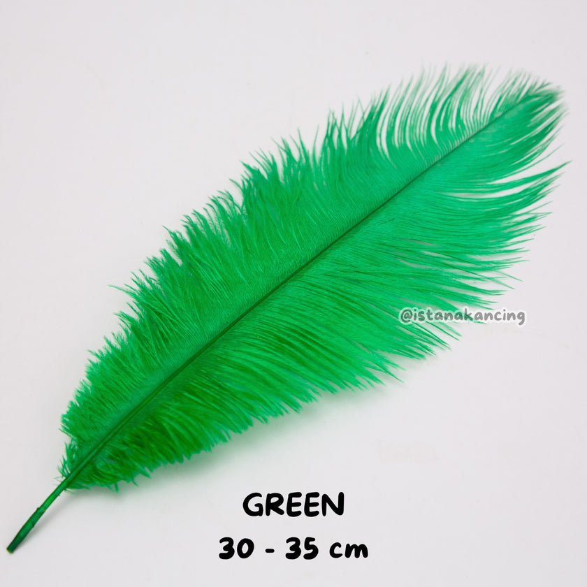Bulu Ostrich Batangan 30-35cm