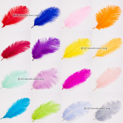 Bulu Ostrich Batangan 15-20cm