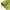 SPTI Lining Green Series