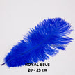 Bulu Ostrich Batangan 20-25cm