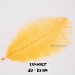 Bulu Ostrich Batangan 20-25cm
