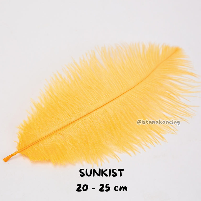 Bulu Ostrich Batangan 20-25cm