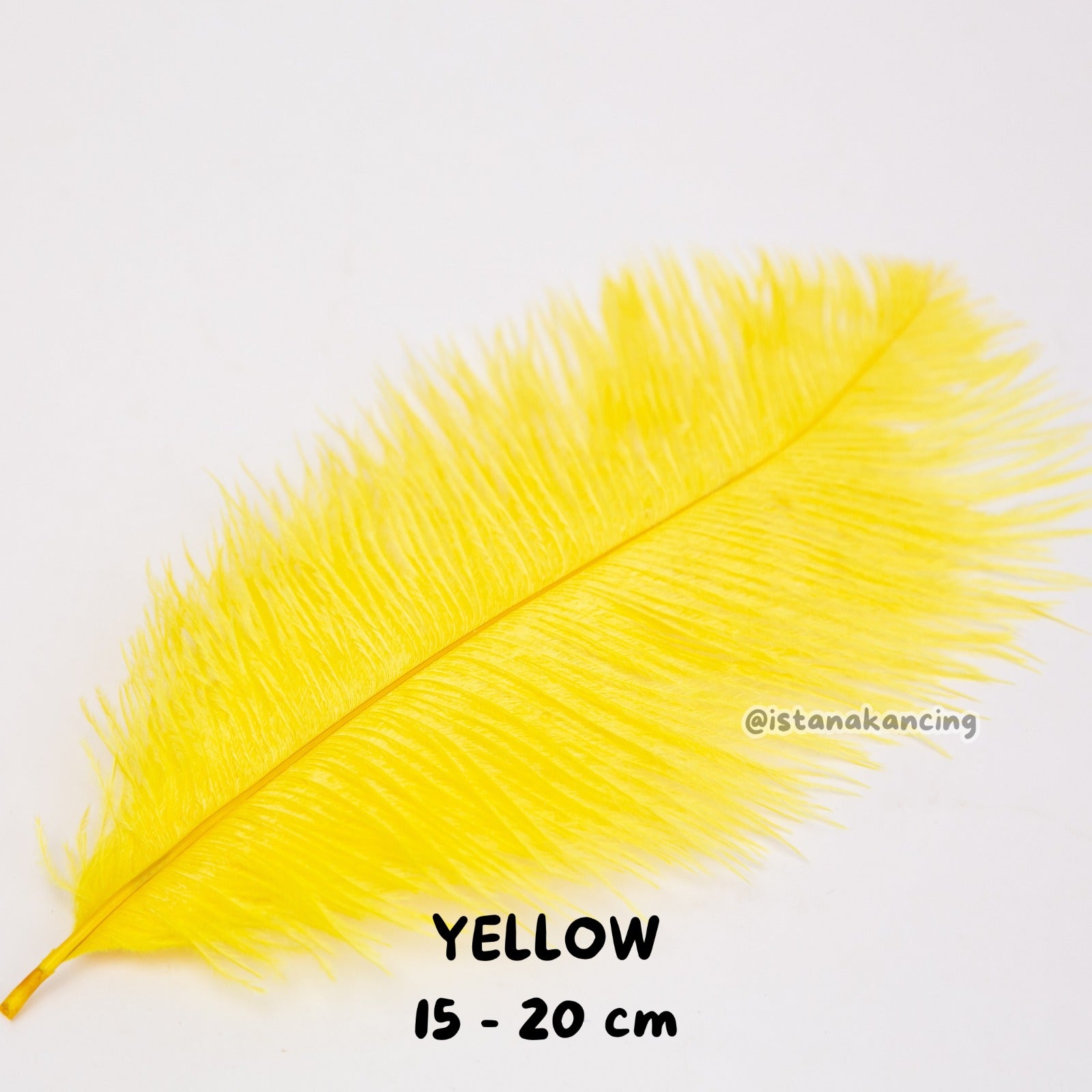 Bulu Ostrich Batangan 15-20cm