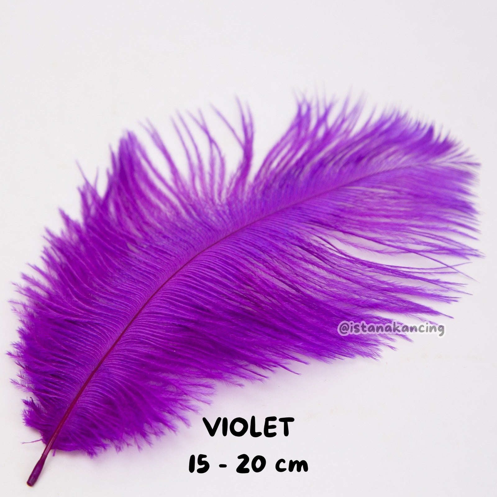 Bulu Ostrich Batangan 15-20cm