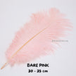 Bulu Ostrich Batangan 30-35cm