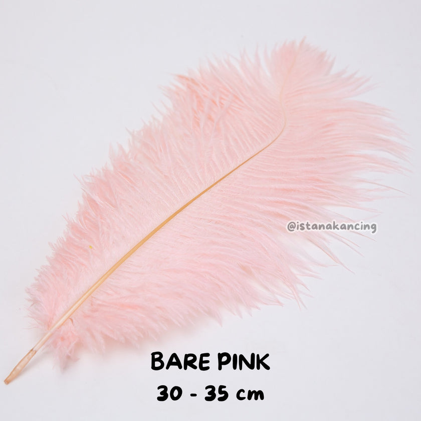 Bulu Ostrich Batangan 30-35cm