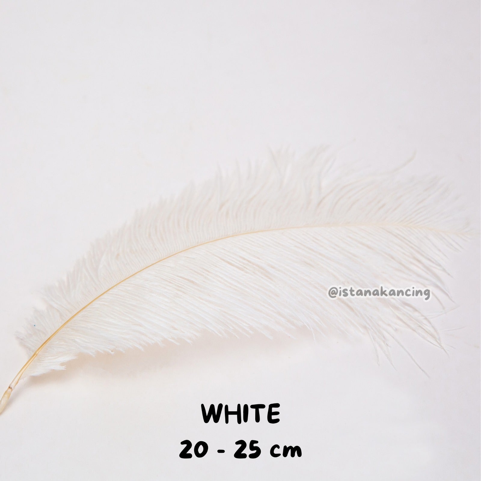 Bulu Ostrich Batangan 20-25cm