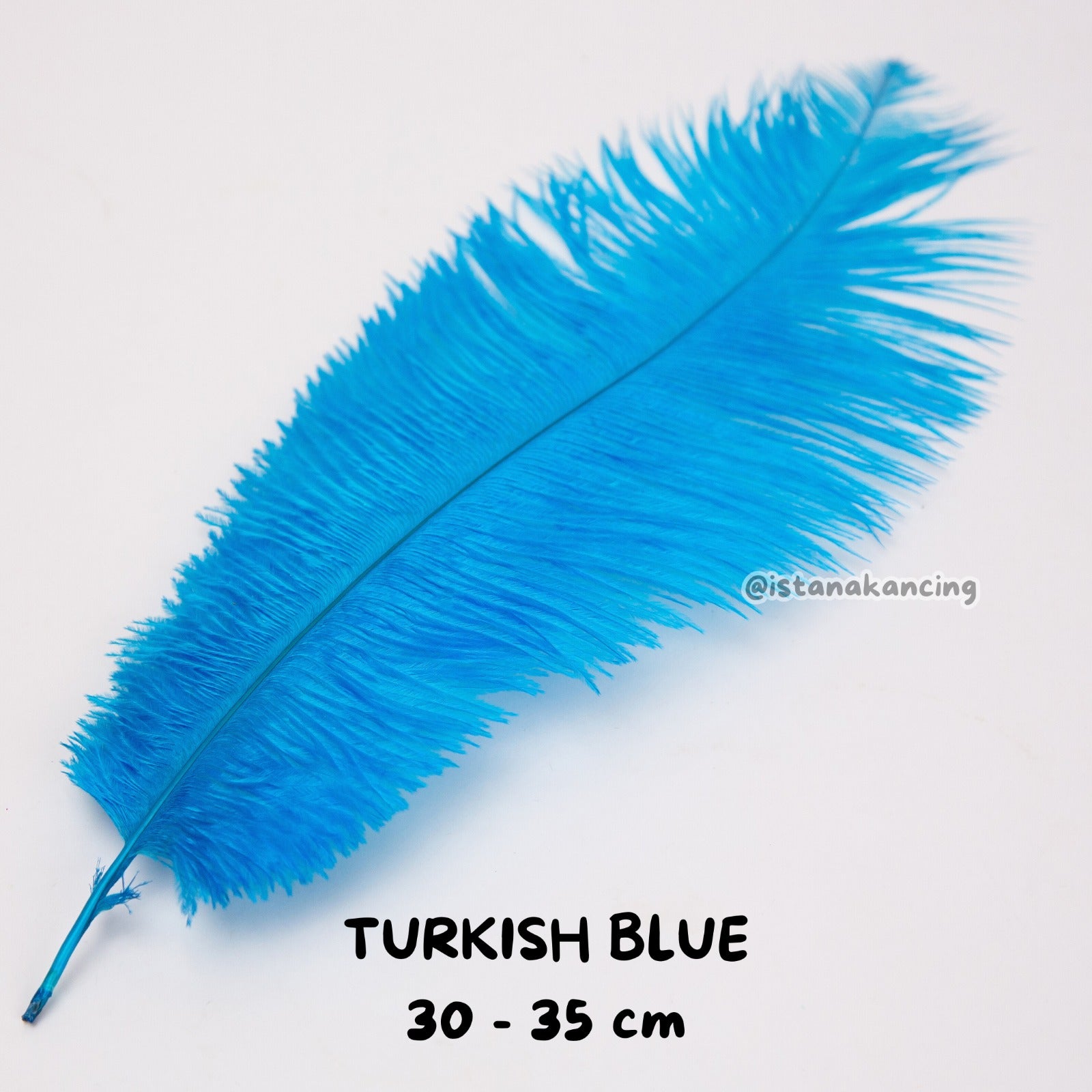Bulu Ostrich Batangan 30-35cm