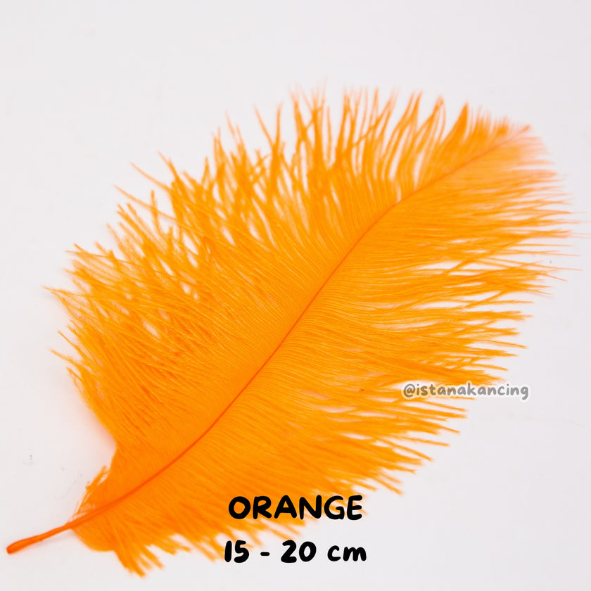 Bulu Ostrich Batangan 15-20cm