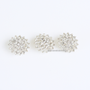 Alena Rhinestone