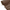 APL Asahi Lining Brown