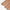 APL Asahi Lining Brown