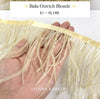 Ostrich  Panjang 10-15mm Feathers