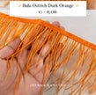 Ostrich  Panjang 10-15mm Feathers