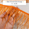 Ostrich  Panjang 10-15mm Feathers