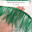 Ostrich  Panjang 10-15mm Feathers