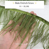 Ostrich  Panjang 10-15mm Feathers