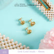 Link Studs