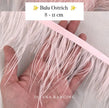Ostrich 8-11mm Feathers