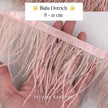Ostrich 8-11mm Feathers