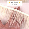 Ostrich 8-11mm Feathers