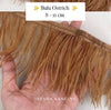 Ostrich 8-11mm Feathers