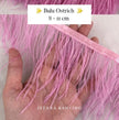 Ostrich 8-11mm Feathers